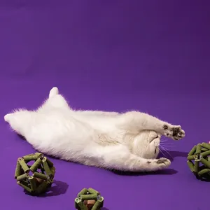 Kattenkruidbal voor katten om te likken en tanden te knarsen met hol geweven design