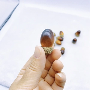 Detail shot of a small realistic artificial acorn held by hand with natural brown finish