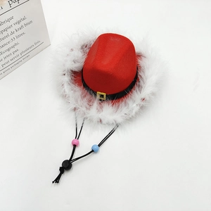 Detail of red mini pet cowboy hat with white feather trim and adjustable drawstring