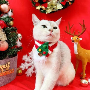 Close-up of a white cat wearing a red and green Christmas knit scarf with holiday props