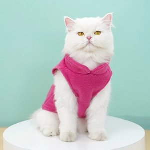 Close-up of bright rose pink fleece vest with stand collar on a white longhair cat