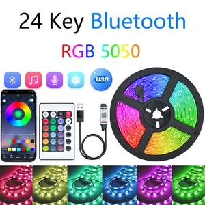 Detailed 24-key Bluetooth RGB 5050 LED strip kit with USB controller and phone app control