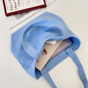 Light blue canvas lunch bag detail showing capacity with books and accessories