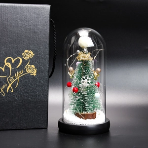 Detail of Christmas tree in glass dome with LED lights and premium black gift box