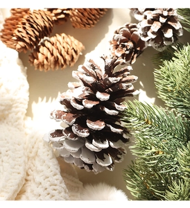 Detail of natural pine cones with snow effect and pine needles for Christmas decor