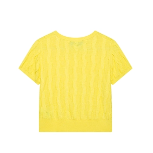 Bright yellow short sleeve knit sweater with vertical cable patterns and crew neckline
