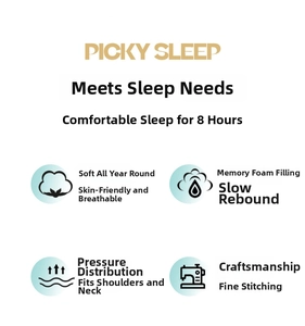 Detail showing memory foam padding features and slow rebound for lumbar support pillow