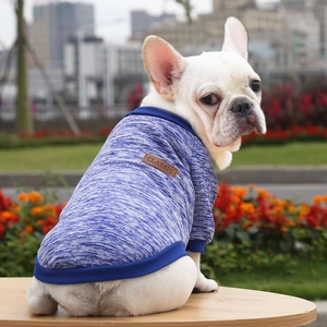 Close-up of blue knit pet sweater with a classic leather patch on a French Bulldog