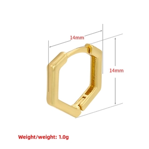 Geometric gold plated hexagonal earrings measuring 14mm in diameter and 1.0g weight