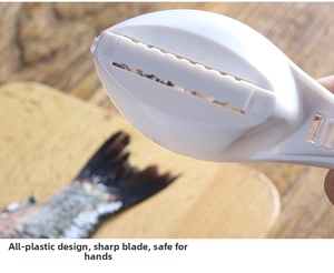 Close-up of plastic fish scaler with serrated edge for safe and easy scale removal