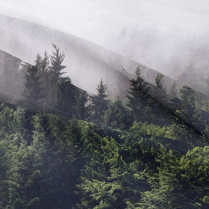 Dettaglio ravvicinato della stampa della foresta e del morbido tessuto dell'arazzo