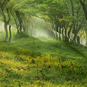 Primo piano della trama del tessuto di un arazzo bohémien con paesaggio forestale