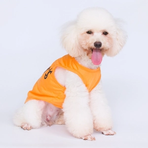 Vibrant orange cotton dog vest with printed lettering on a white poodle model