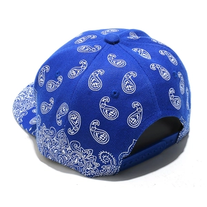 Rear view of blue paisley flat brim hat showing the snapback closure and fabric texture