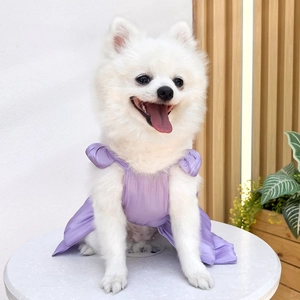 Detail of a purple silk-like pet wedding dress on a white Pomeranian dog