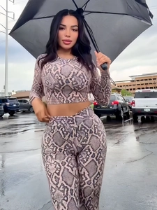 Snakeskin Print Long Sleeve Crop Top And High Waist Leggings For Women Polyester Spandex Sexy Slim Fit Streetwear