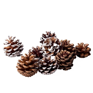 Natural pine cones for Christmas DIY decor with rustic wood and white snow tipped finishes