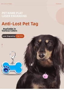 Detail of bone and paw shaped pet ID tags with colorful enamel and sparkling rhinestones