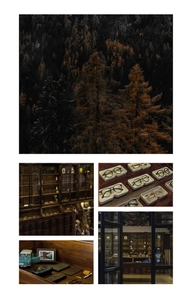 Detailed collage of vintage half-frame metal glasses and premium leather cases