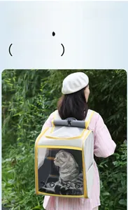 Sac à dos gris respirant pour chat porté en extérieur avec vue sur la forêt