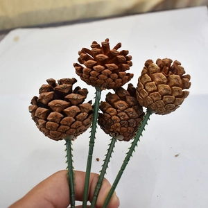 Set of four natural brown pine cones on green wire stems for Christmas flower arrangement
