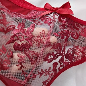 Detailed close-up of red floral lace embroidery and sheer mesh on sexy lingerie panties