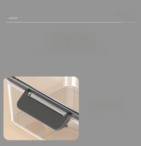 Close-up of airtight four-sided locking buckles on the transparent plastic food container