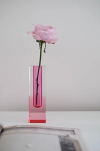 Detail of a pink rose in a minimalist gradient acrylic rectangle vase on white background