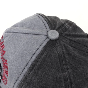 Macro view of washed cotton baseball cap top with gray button and red letter embroidery