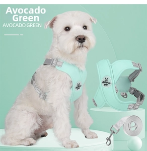 Detail view of avocado green X-shaped dog harness with reflective edges and leash