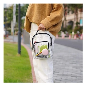Close-up of a clear PVC mini backpack showing internal storage for stationery items
