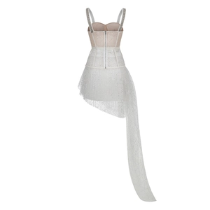 Detailed back view of sexy mesh dress featuring diamond straps and metal zipper closure