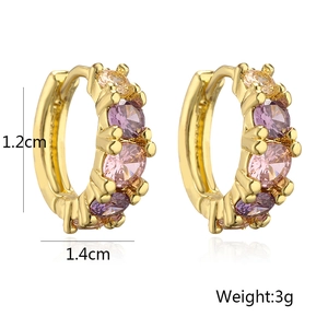 Dettaglio di orecchini dorati 1,4cm con zirconi viola e specifiche di peso