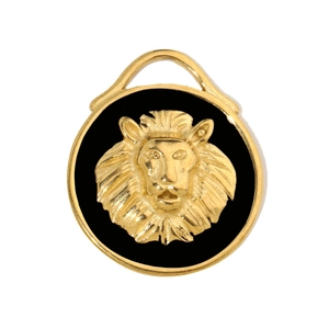 Macro shot of gold lion head relief on round black pendant with brushed metal texture