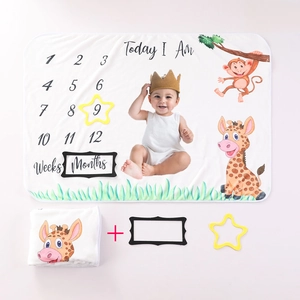 Detailliertes Set mit Baby-Meilensteindecke und Rahmen für monatliche Wachstumsfotos