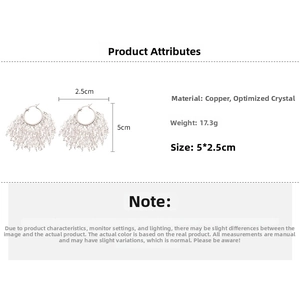 Détail des boucles d'oreilles à franges en cristal, dimensions 5x2,5cm et poids 17,3g