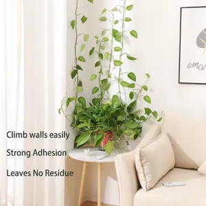 White invisible plant climbing clips fixing ivy vines to walls in a Nordic living room