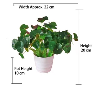 Artificial money plant in white pot with dimensions width 22cm and height 20cm