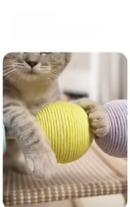 Close-up of a cat playing with multi-colored sisal rope scratcher balls on a wooden stand
