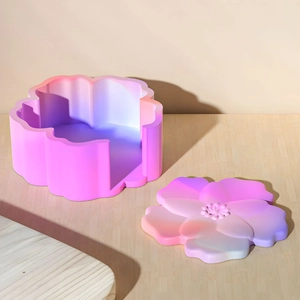Macaron gradient flower shaped DIY resin silicone mold with lid and storage container