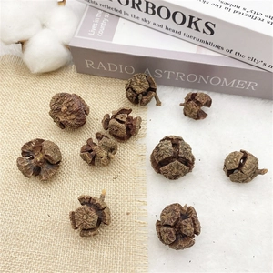 Macro detail of natural dried eucalyptus pods for Christmas tree decor and DIY crafts