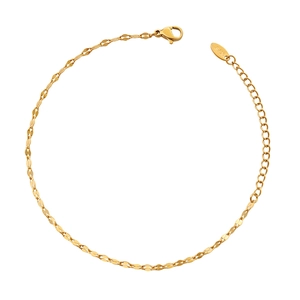 Elegant 18K gold-plated titanium steel chain bracelet with lobster clasp and adjustable link