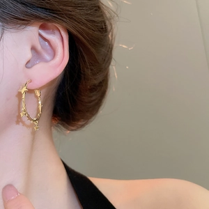 Detail of golden hoop earrings with star charms worn to show luxury metallic luster