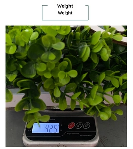 Christmas eucalyptus wreath showing actual weight of 425g on a digital scale