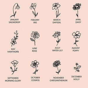 Floral chart showcasing twelve birth month flowers with names on a soft pink background