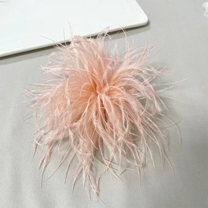 Macro detail of fluffy light pink ostrich feather brooch with soft texture and plume