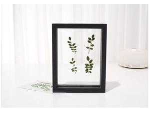 Modern black double-sided glass photo frame featuring botanical leaf specimen on white desk