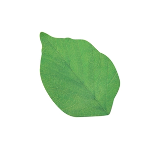 Cute green leaf shaped sticky notes and memo pads for office and student stationery use