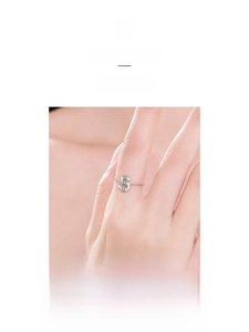 Macro detail of S925 silver ring featuring a micro-pave dollar sign musical note charm
