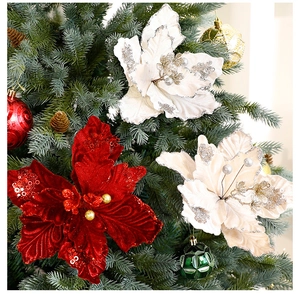 Close-up of velvet red and white poinsettia flowers with glitter on Christmas tree branches